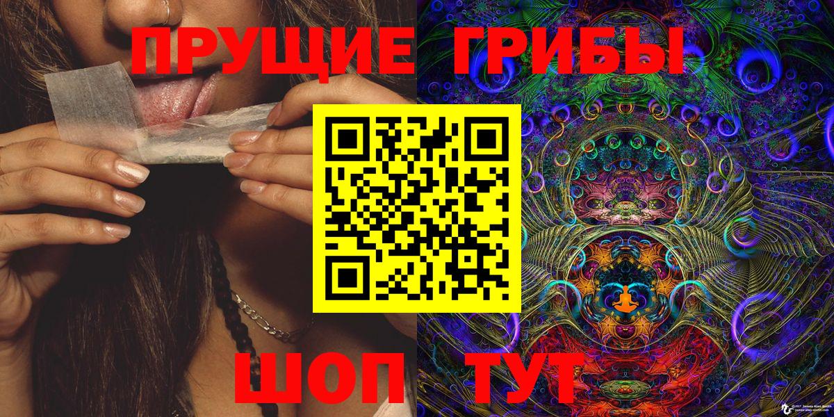 Галлюциногенные грибы Cubensis  Вход с VPN  Саров  даркнет сайт  Галлюциногенные грибы Psilocybine cubensis 